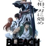 Bleach: Sennen Kessen-hen – Soukoku-tan (Dub)